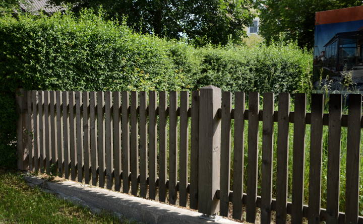 Holzlattenzaun vor grüner Ligusterhecke